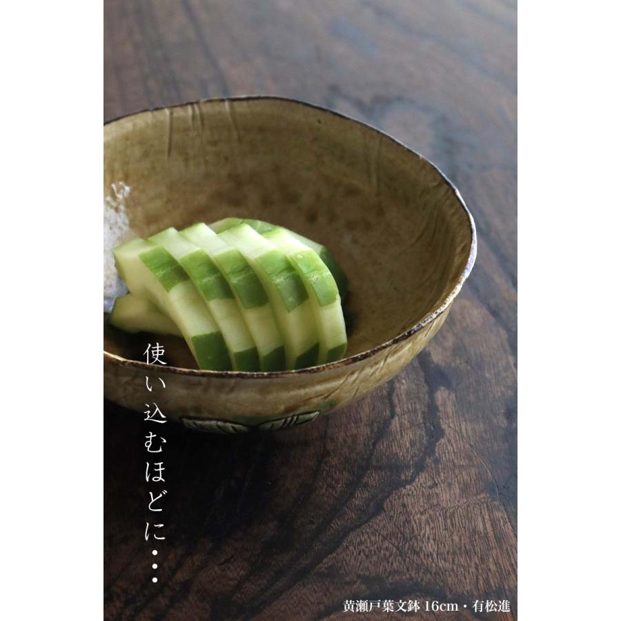 黄瀬戸葉文鉢16cm・有松進《中鉢・16.5cm》 |  | 13
