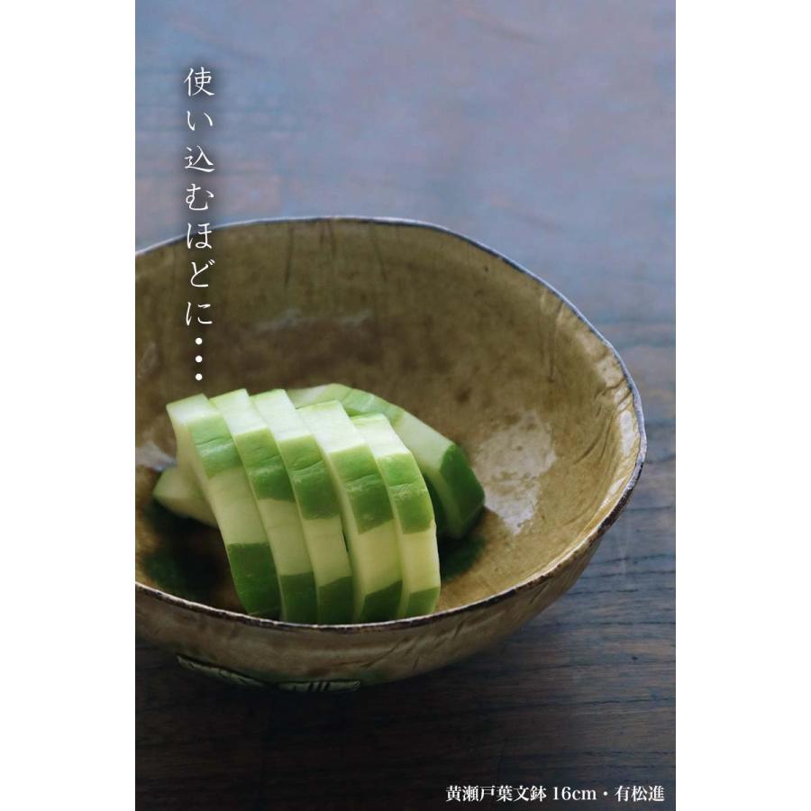 黄瀬戸葉文鉢16cm・有松進《中鉢・16.5cm》 |  | 14