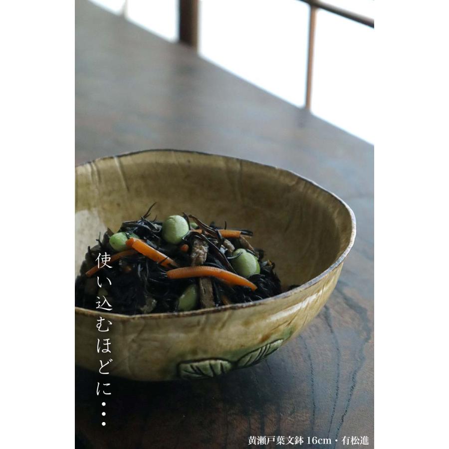 黄瀬戸葉文鉢16cm・有松進《中鉢・16.5cm》 |  | 16