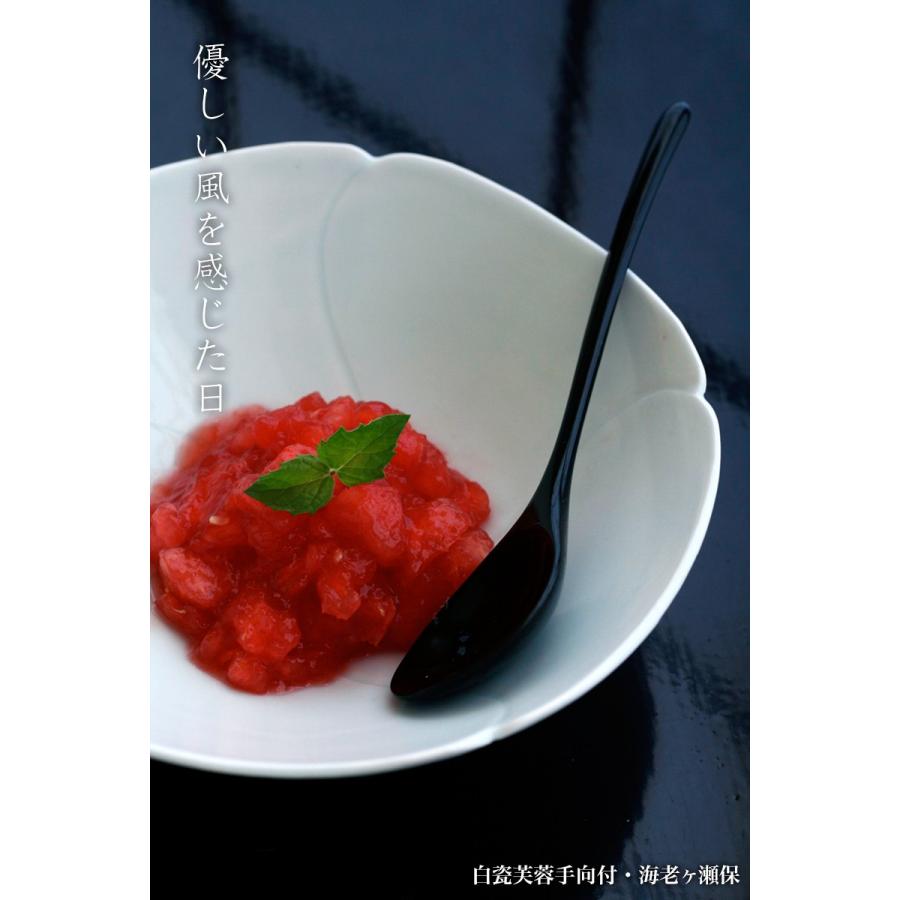 白磁（天草陶石）：白瓷芙蓉手向付・海老ヶ瀬保《中鉢・向付・18.0cm》 |  | 04