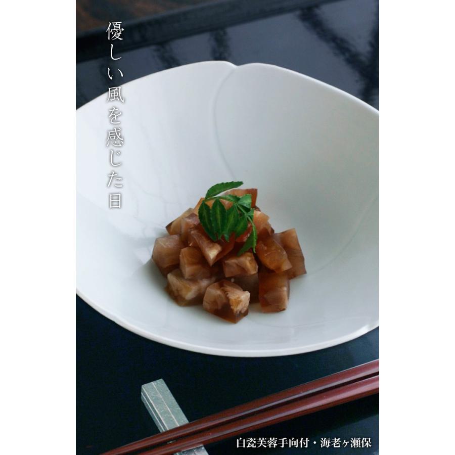 白磁（天草陶石）：白瓷芙蓉手向付・海老ヶ瀬保《中鉢・向付・18.0cm》 |  | 05