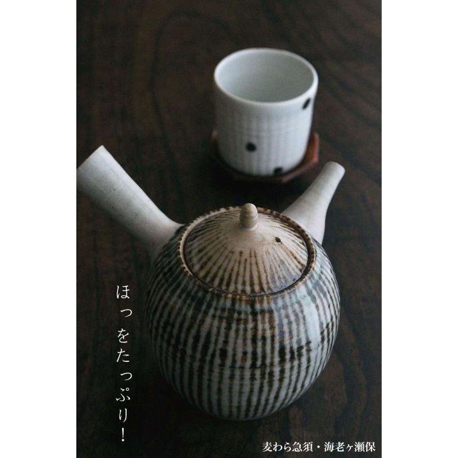 麦わら急須・丸・海老ヶ瀬保《急須・450ml》 |  | 03