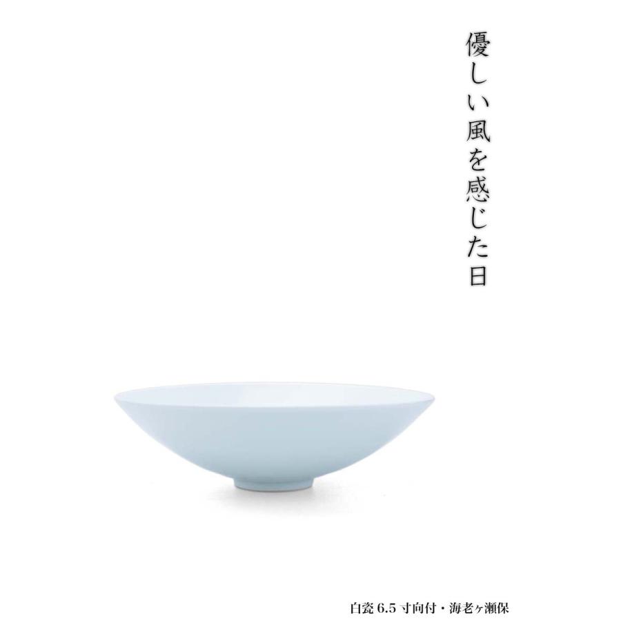 白磁（天草陶石）：白瓷6.5寸向付・海老ヶ瀬保《中鉢・向付・19.0cm》 |  | 15