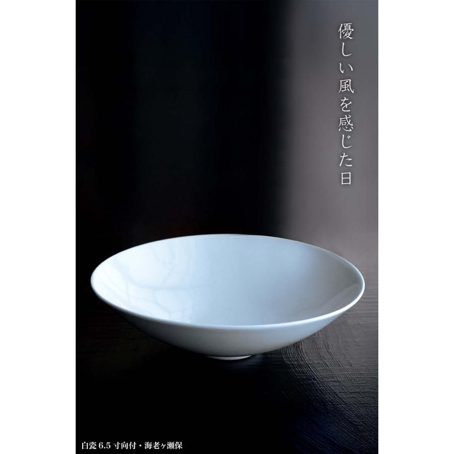 白磁（天草陶石）：白瓷6.5寸向付・海老ヶ瀬保《中鉢・向付・19.0cm》 |  | 16