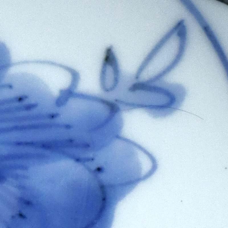 九谷焼：呉州赤絵牡丹文向付・須田菁華《小鉢・12.0cm》 : 和食器の