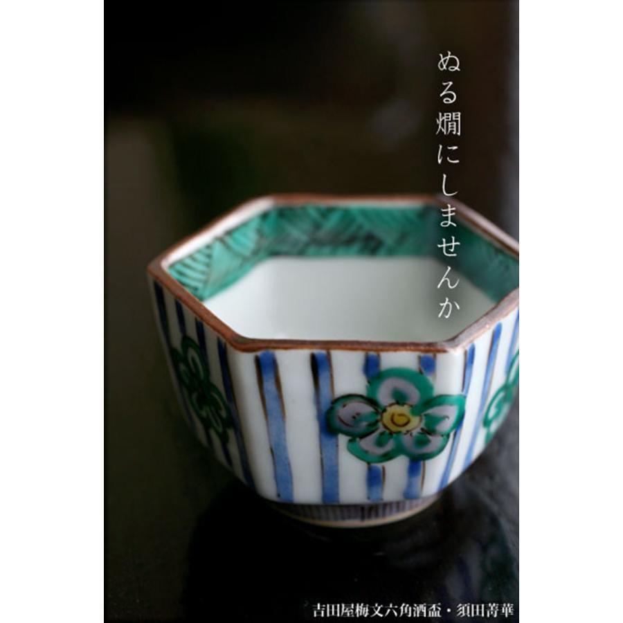 3代目須田菁華盃ぐい呑 3代目須田菁華盃ぐい呑