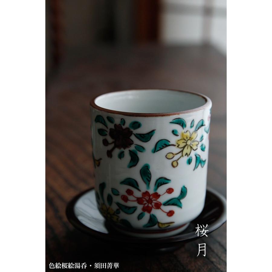 須田菁華 桜柄小鉢 【公式通販】