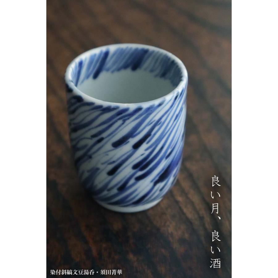 九谷焼：染付斜縞文豆湯呑・須田菁華《ぐい呑・湯呑・5.5cm》 : 和食器