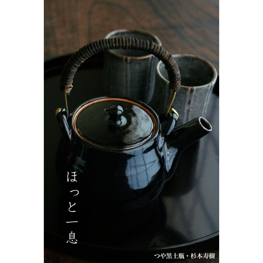 伊賀焼：つや黒土瓶・丸・杉本寿樹《土瓶・600ml》 : 和食器の愉しみ