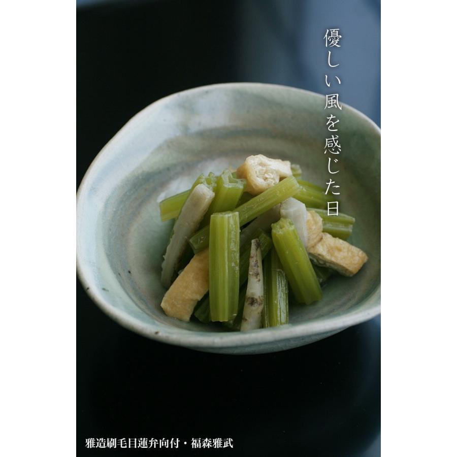 伊賀焼：雅造刷毛目蓮弁向付・土楽：福森雅武《小鉢・向付・14.5cm