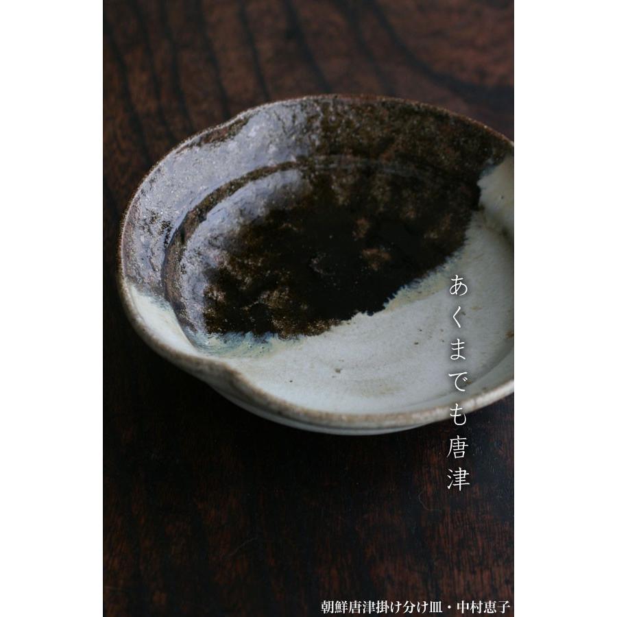 唐津焼：朝鮮唐津掛け分け皿・中村恵子《中皿・17.0cm》 : 和食器の