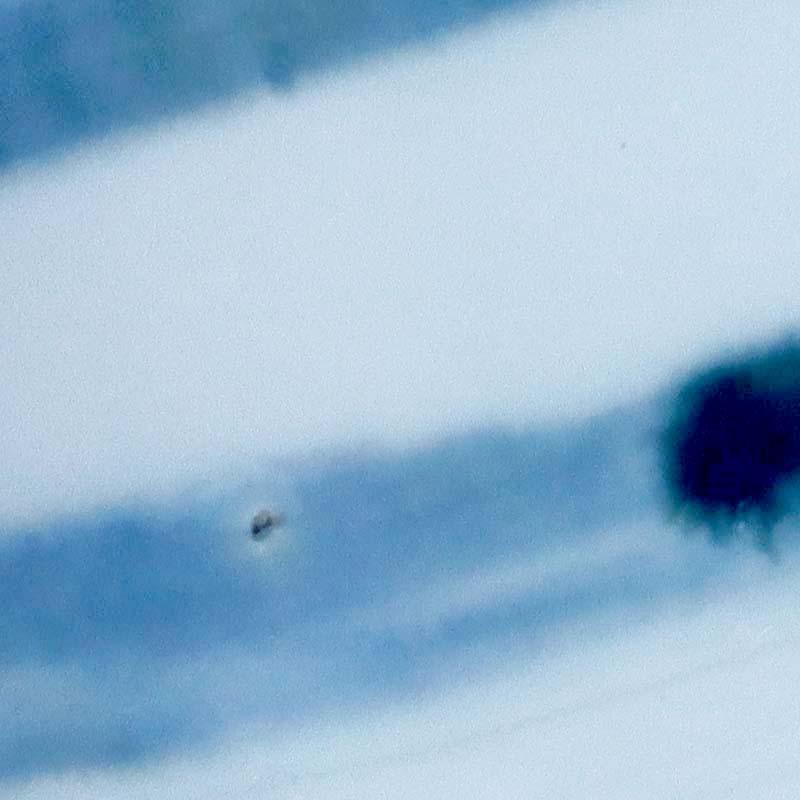 染付横線文湯呑・阪東晃司《湯呑》 |  | 05