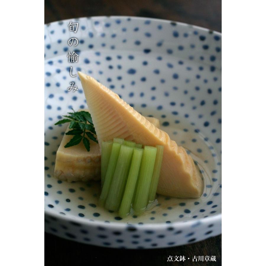 染付点文鉢・小・古川章蔵《中鉢・21.0cm》 |  | 01