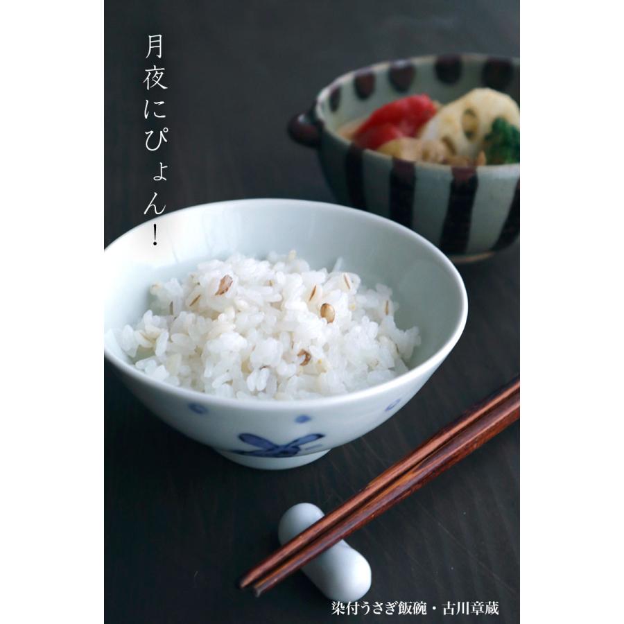 染付うさぎ飯碗・古川章蔵《飯碗・ご飯茶碗・11.6cm》 |  | 08