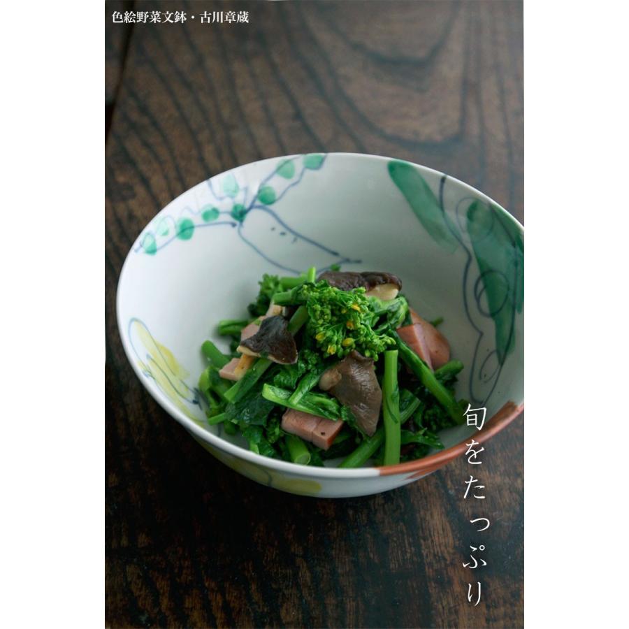 色絵：色絵野菜文鉢・古川章蔵《大鉢・盛り鉢・20.0cm》の画像