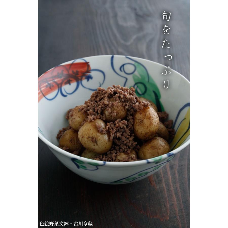 色絵：色絵野菜文鉢・古川章蔵《大鉢・盛り鉢・20.0cm》の画像