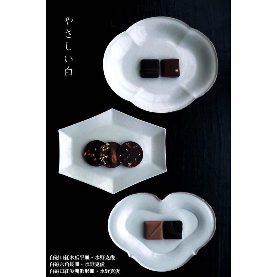 白磁：白磁六角長皿・水野克俊《小皿・16.7cm》 : 和食器の愉しみ 工芸