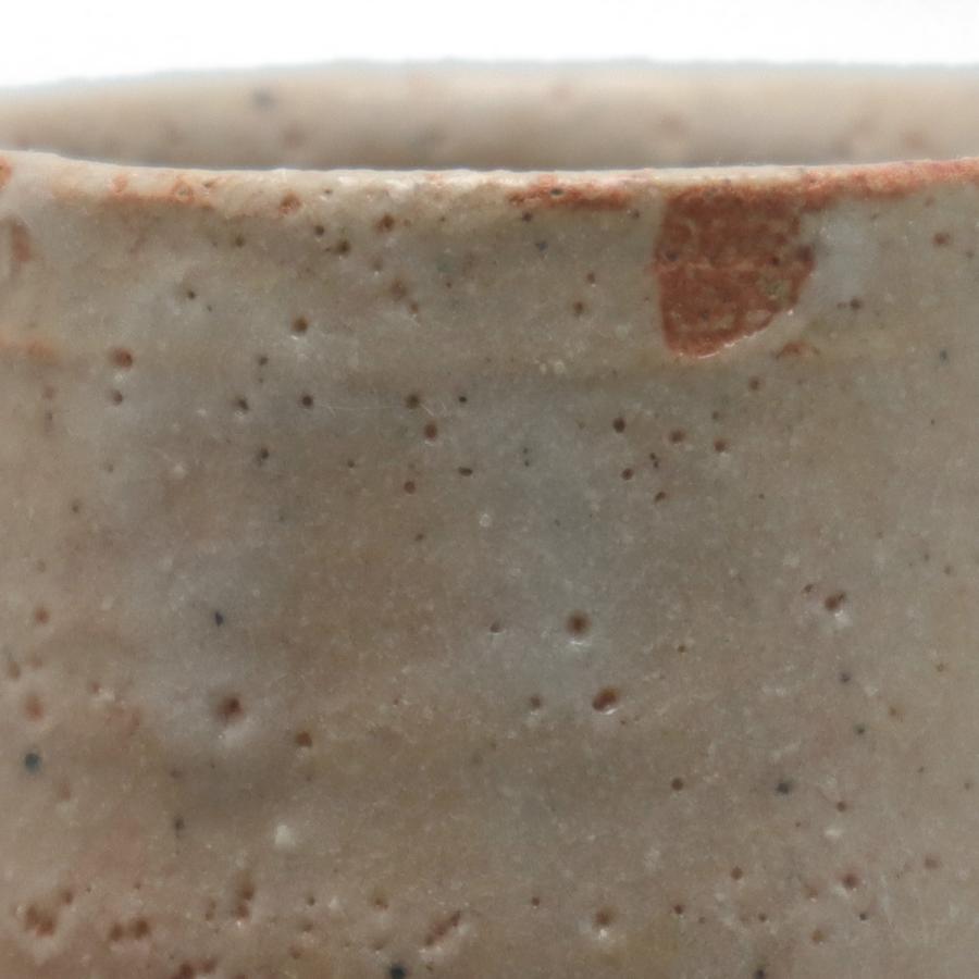 志野焼：志野草花文筒・瀧川恵美子《湯呑・筒向付・6.0cm》 : 和食器の