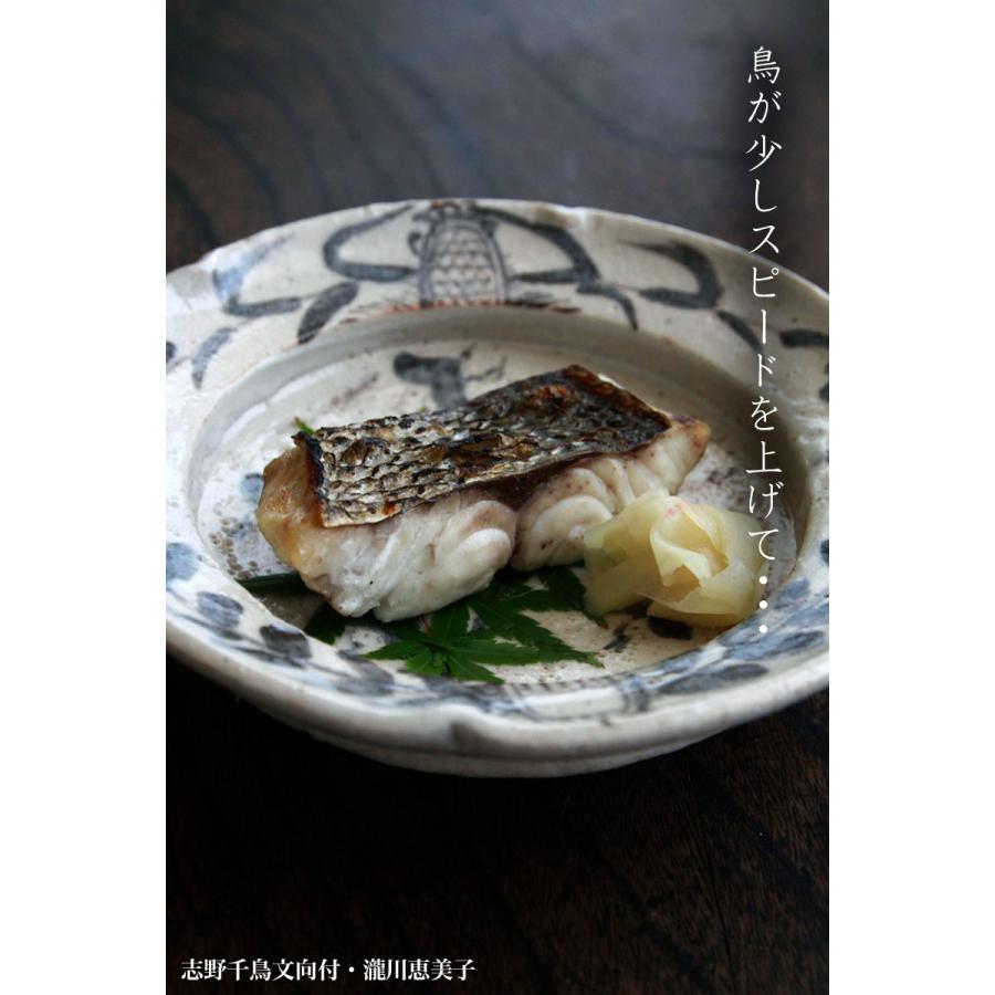 志野焼：志野千鳥文向付・瀧川恵美子《小鉢・16.5cm》 : 和食器