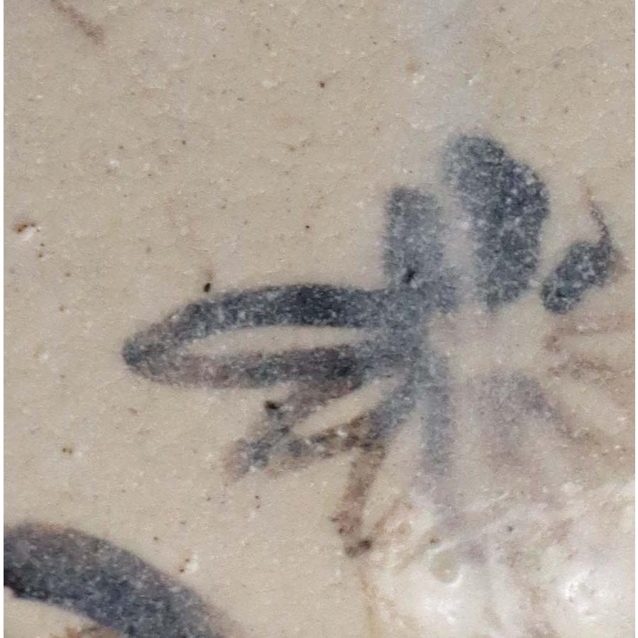 志野焼：志野菊之文小皿・瀧川恵美子《小皿・11.2cm》 |  | 08