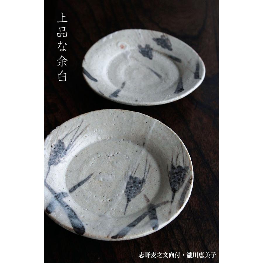 志野焼：志野麦之文向付・瀧川恵美子《小皿・15.0cm》 |  | 05