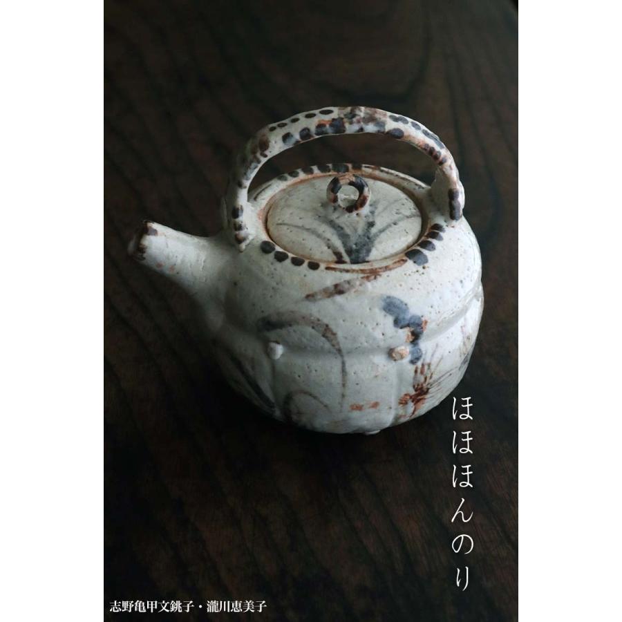 志野焼：志野亀甲文銚子・瀧川恵美子《酒器・400cc》 |  | 11