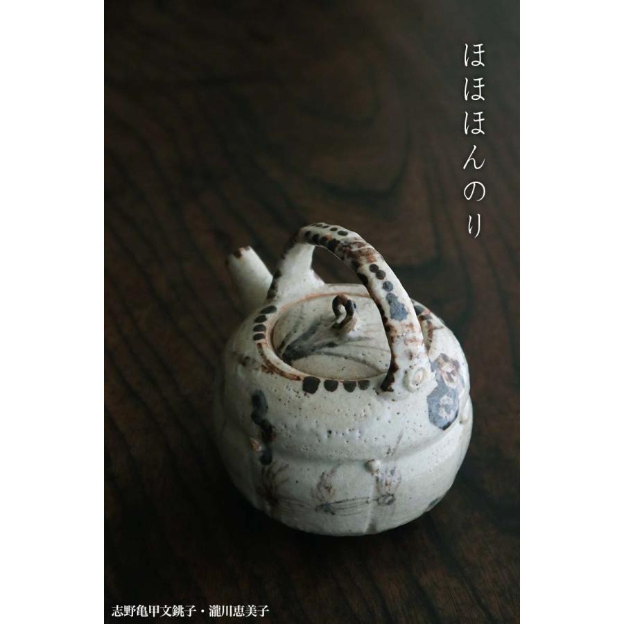 志野焼：志野亀甲文銚子・瀧川恵美子《酒器・400cc》 |  | 12