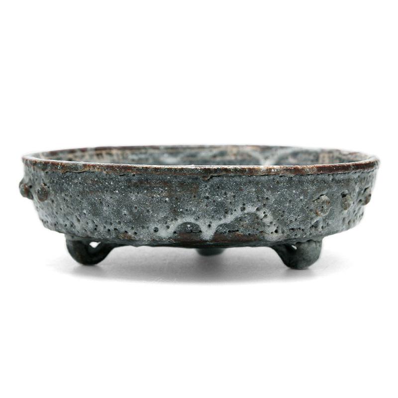 志野焼：鼠志野芦文向付・三つ足・瀧川恵美子《小鉢・15.5cm