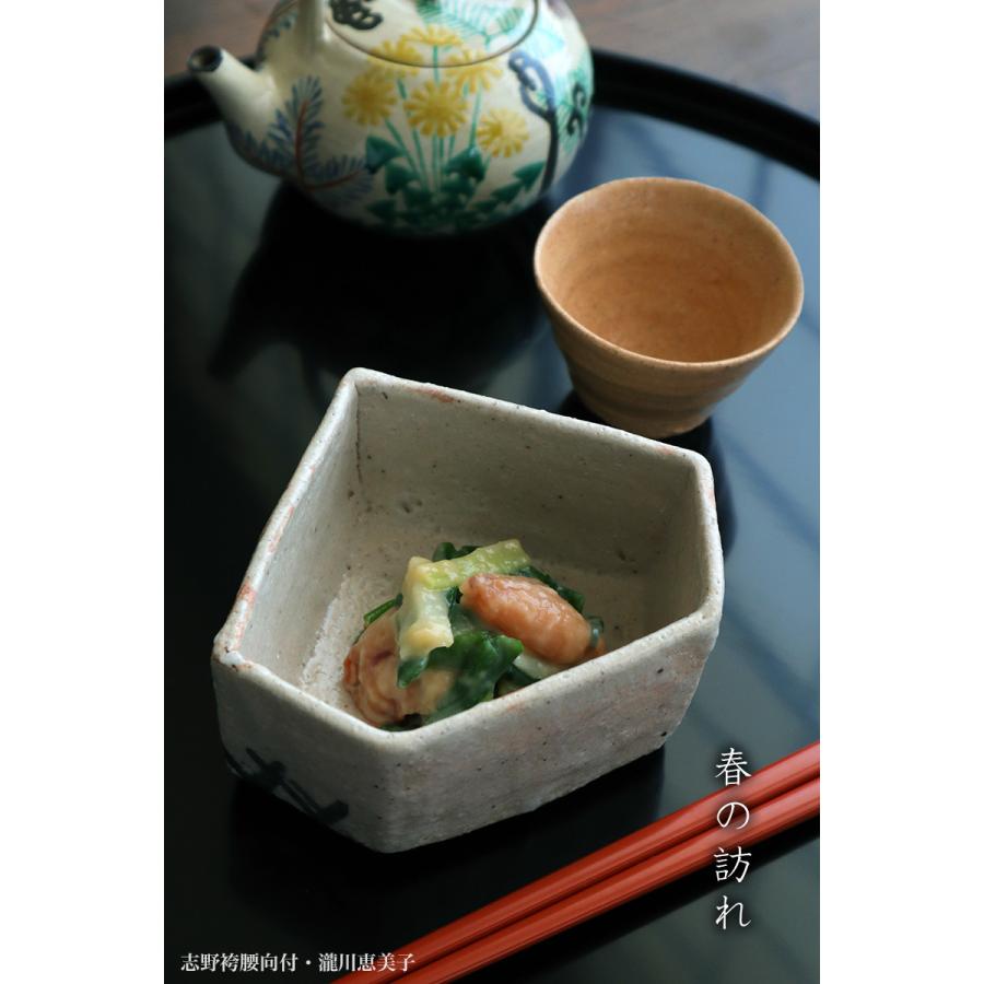 志野焼：志野袴腰向付A・瀧川恵美子《小鉢・12.5cm》 |  | 06