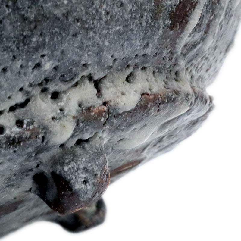 志野焼：鼠志野芦文四方向付・瀧川恵美子《小鉢・15.5cm》 : 和食器の