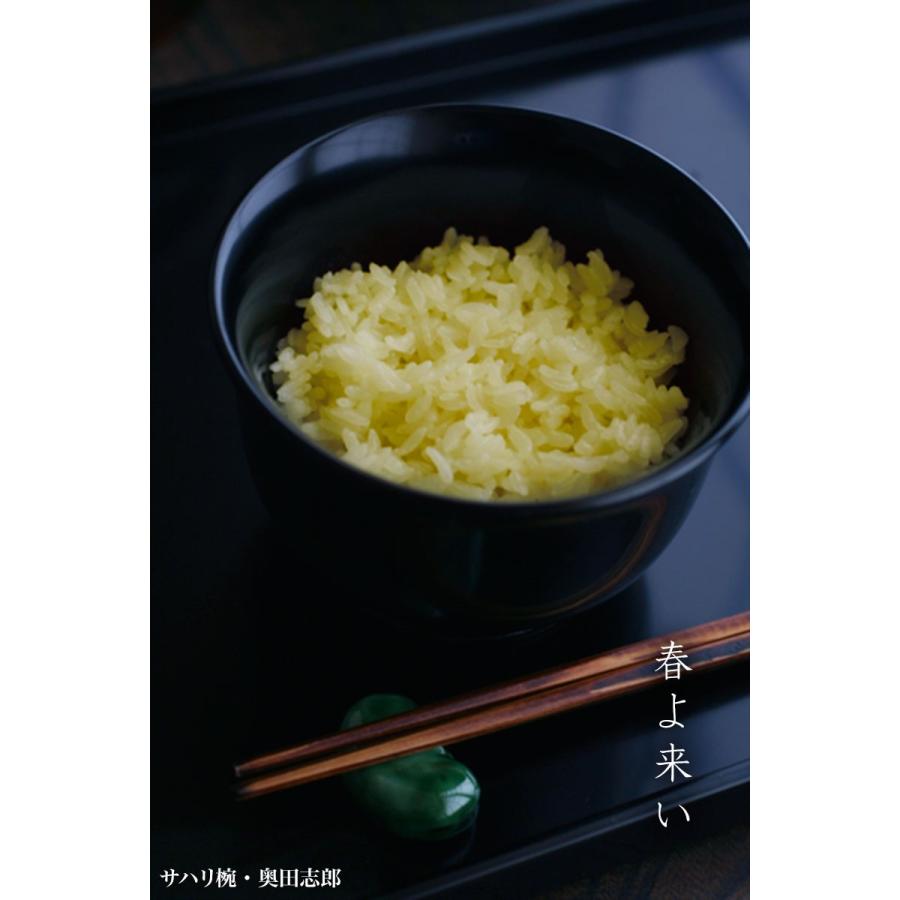 漆器：黒サハリ椀・奥田志郎 |  | 02