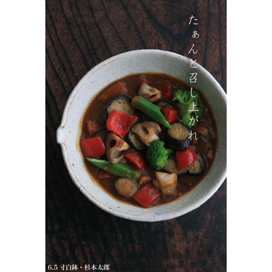 6.5寸白鉢・杉本太郎《中鉢・片口・21.0cm》 |  | 02