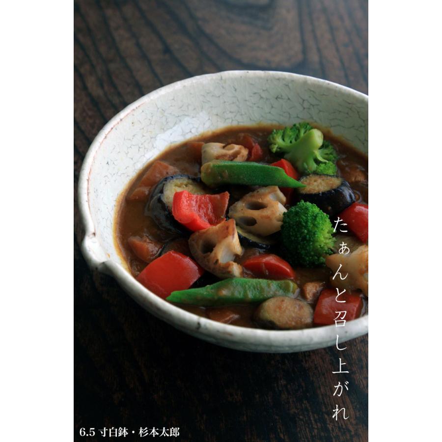 6.5寸白鉢・杉本太郎《中鉢・片口・21.0cm》 |  | 04