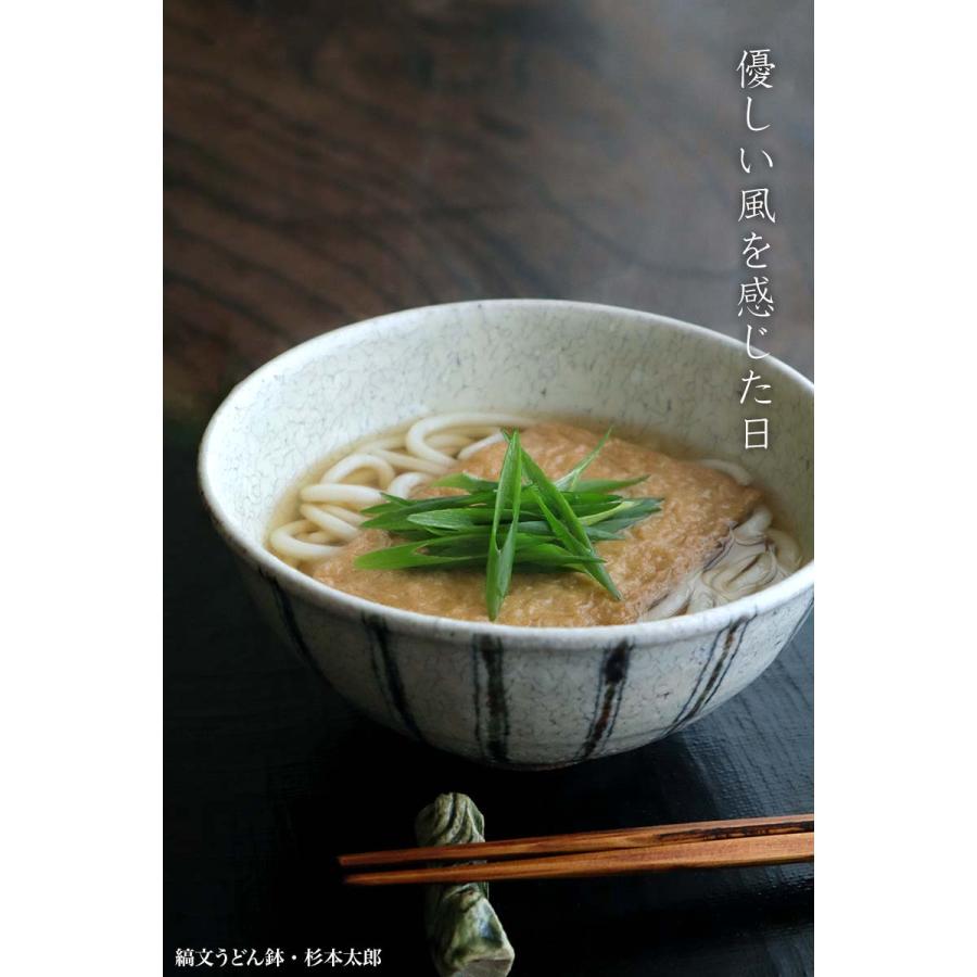 縞文うどん鉢・B・杉本太郎《うどん鉢・麺鉢・丼・500ml・17.0cm