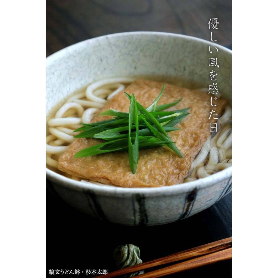 縞文うどん鉢・B・杉本太郎《うどん鉢・麺鉢・丼・500ml・17.0cm