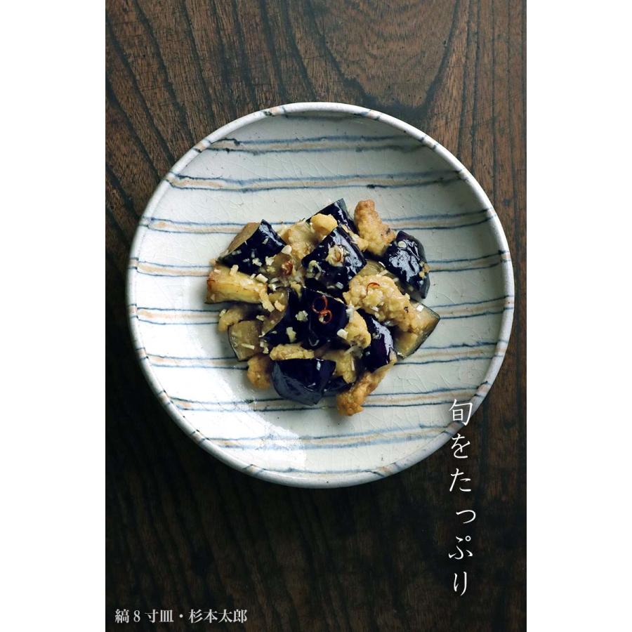 縞8寸皿・杉本太郎《大皿・24.8cm》 : 和食器の愉しみ 工芸店ようび