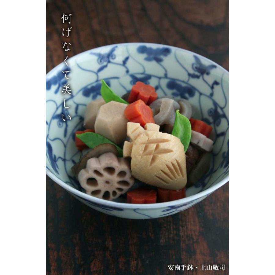 安南手鉢・土山敬司《中鉢・17.7cm》 : 和食器の愉しみ 工芸店ようび 
