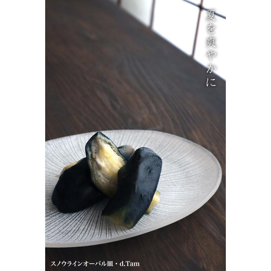 ガラス：スノウラインオーバル皿・d.Tam《中皿・23.5cm》 : 和食器の