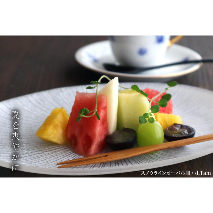 ガラス：スノウラインオーバル皿・d.Tam《中皿・23.5cm》 : 和食器の