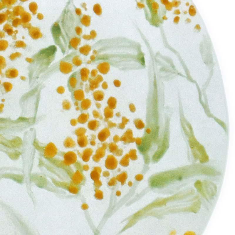 ガラス：絵付け薄皿・豆皿・トラノオ・d.Tam《豆皿・8.0cm》 |  | 02