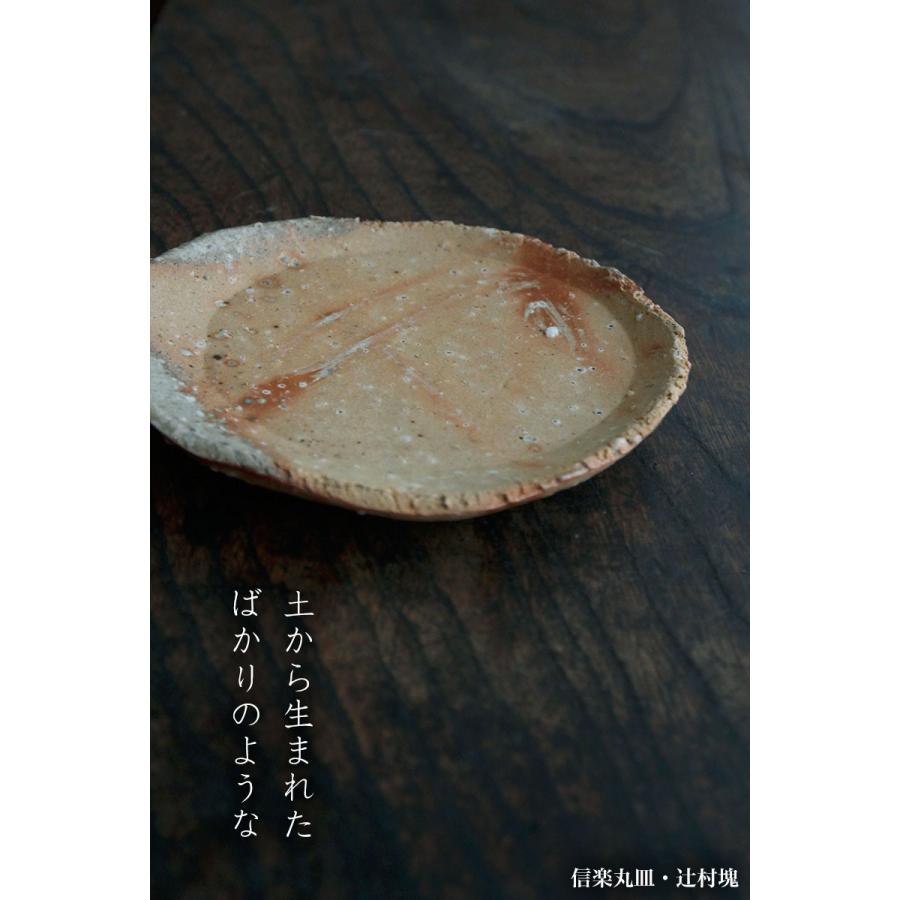 信楽焼：信楽丸皿・辻村塊《中皿・17cm》 : 和食器の愉しみ 工芸