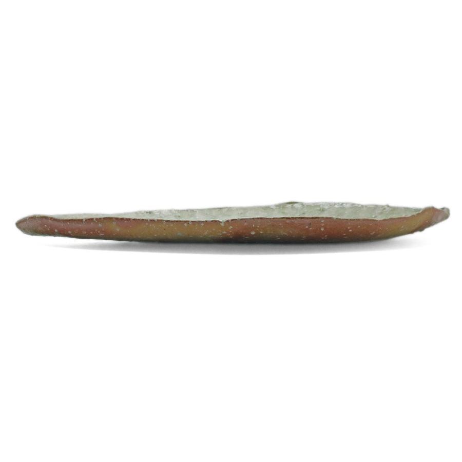 伊賀焼：伊賀葉皿・辻村塊《大皿・36.0cm》 |  | 04