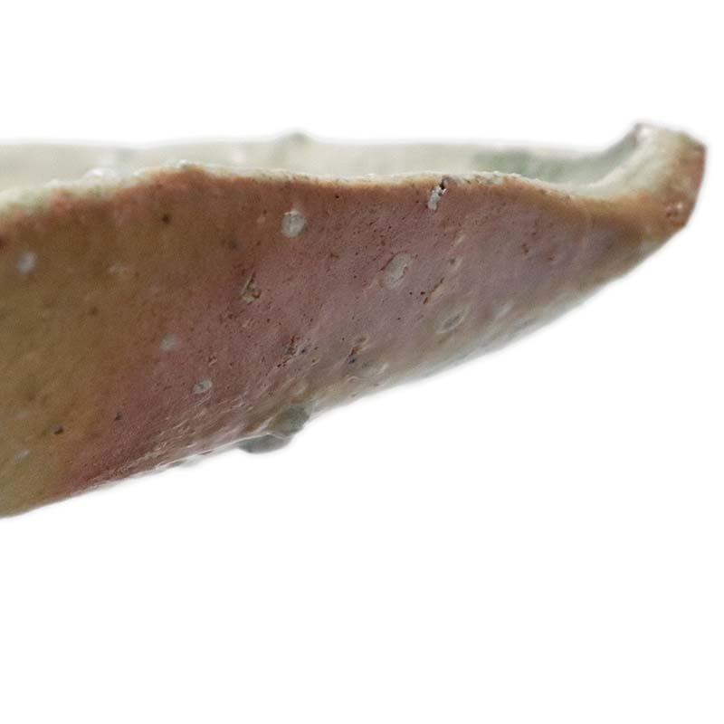 伊賀焼：伊賀葉皿・辻村塊《大皿・36.0cm》 |  | 06