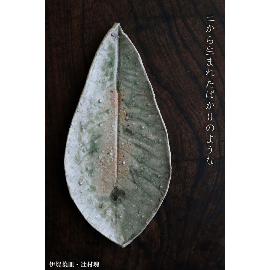 伊賀焼：伊賀葉皿・辻村塊《大皿・36.0cm》 |  | 07