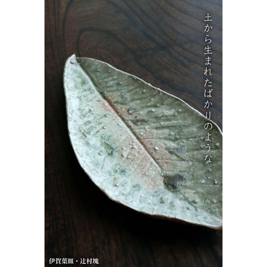 伊賀焼：伊賀葉皿・辻村塊《大皿・36.0cm》 |  | 08
