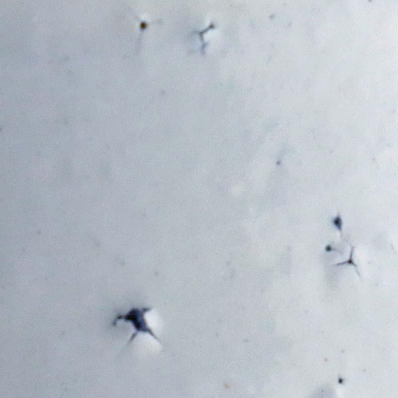 粉引：粉引湯呑・大・辻村塊《湯呑》 |  | 07