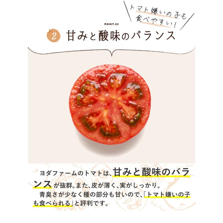 母の日 早割り 送料無料 4月12日より注文受付開始 トマト 今だけおまけ付き 約１kg プレゼントにお勧め 農家直送 桃太郎 ヨダファーム Tomato 1 ヨダファーム トマトひと筋半世紀 通販 Yahoo ショッピング