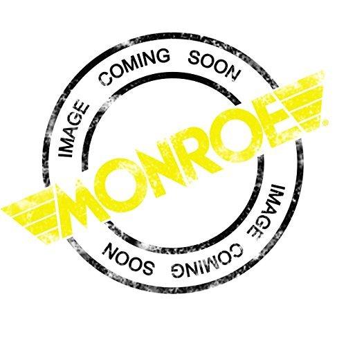 Monroe Shocks & Struts 72925 モンローストラット