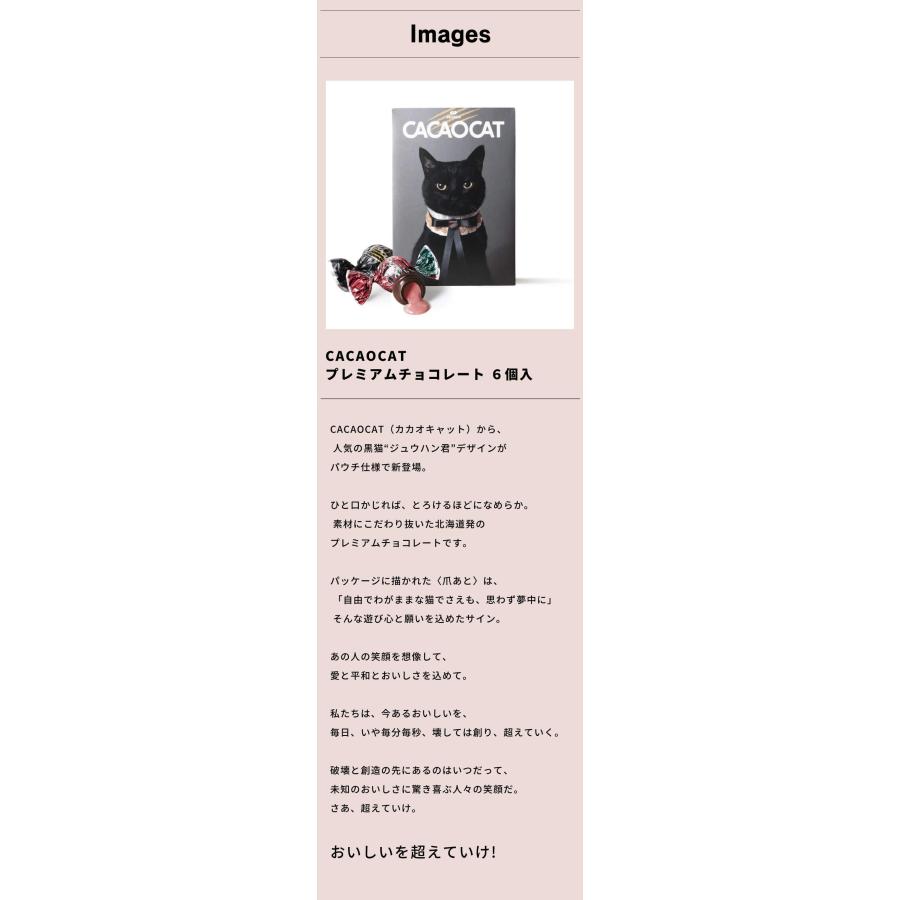 CACAOCAT（カカオキャット） 選べる3点セット チョコ（カカオキャット