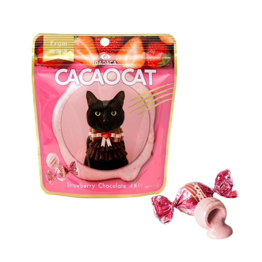 CACAOCAT（カカオキャット） 5点セット DADACA チョコレート CACAOCAT